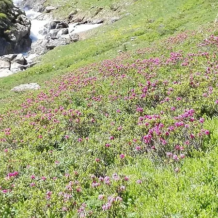 Ewald Siller Lägenhet Neustift im Stubaital