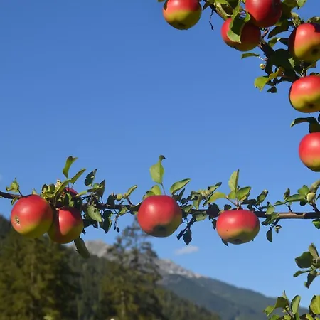 Ewald Siller * Neustift im Stubaital